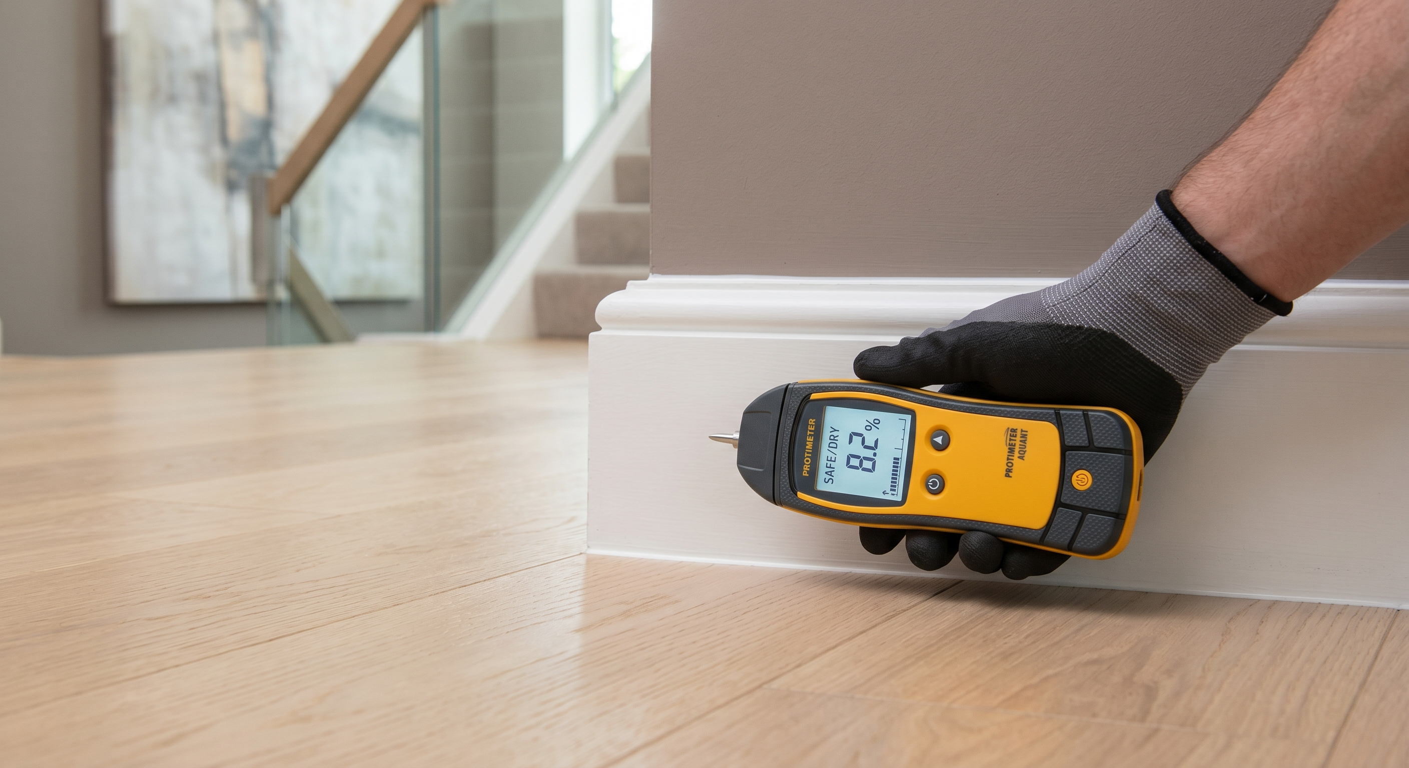 Professional mold remediation